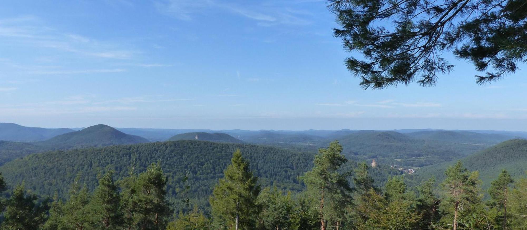Ferienwohnung Monte Noble Südpfalz Erlenbach  Exterior foto