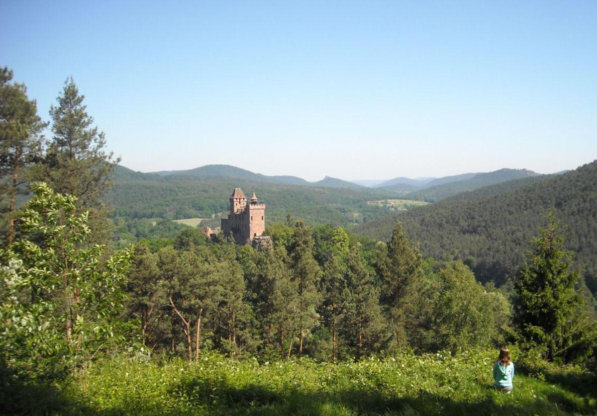 Ferienwohnung Monte Noble Südpfalz Erlenbach  Exterior foto